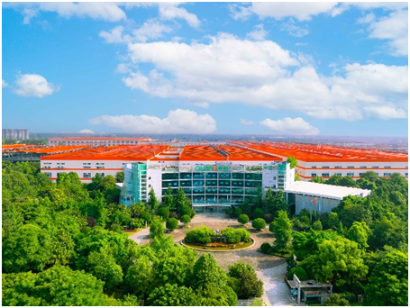 品质315，见证绿色全友新升级